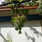 Casa Na Quinta De Valinhas 公寓