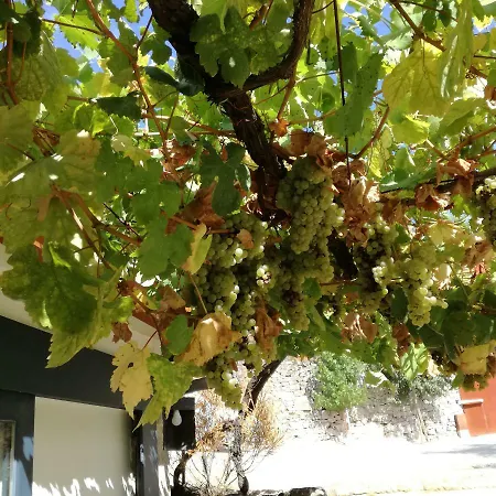 Casa Na Quinta De Valinhas Apartament