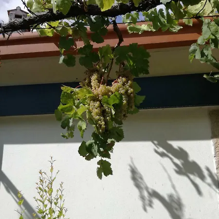 Casa Na Quinta De Valinhas Appartement