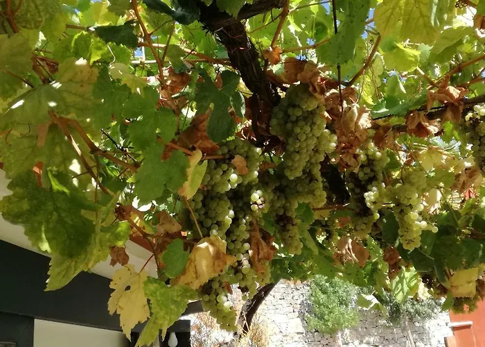 Casa Na Quinta De Valinhas Apartment