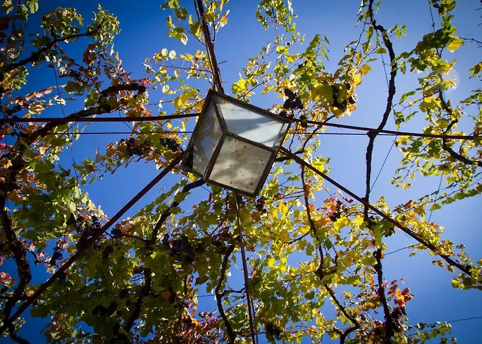 Appartamento Casa Na Quinta De Valinhas *