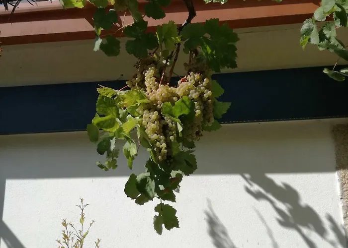 Casa Na Quinta De Valinhas Apartment